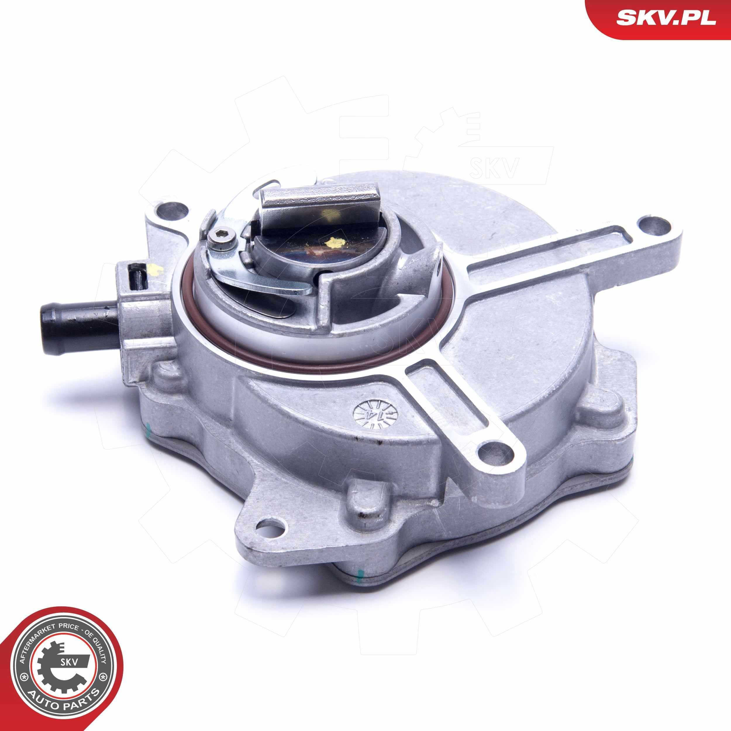 18SKV031 SKV